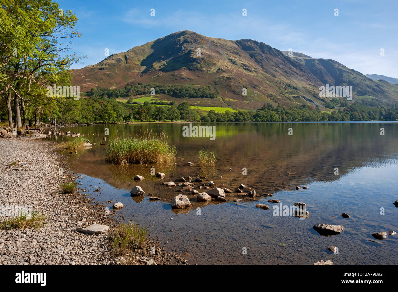 Looking along the lakeshore towards High Snockrigg in summer Buttermere Lake District National Park Cumbria England UK United Kingdom GB Great Britain Stock Photo