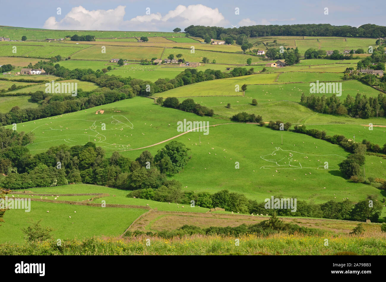 Tour de France, 'Shepherd and sheepdog', landscape art, Worth Valley Stock Photo