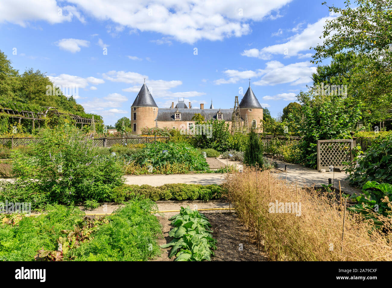 France, Loiret, Chilleurs aux Bois, Chateau de Chamerolles Park and Gardens, the Jardin Renaissance, vegetable garden square // France, Loiret (45), C Stock Photo