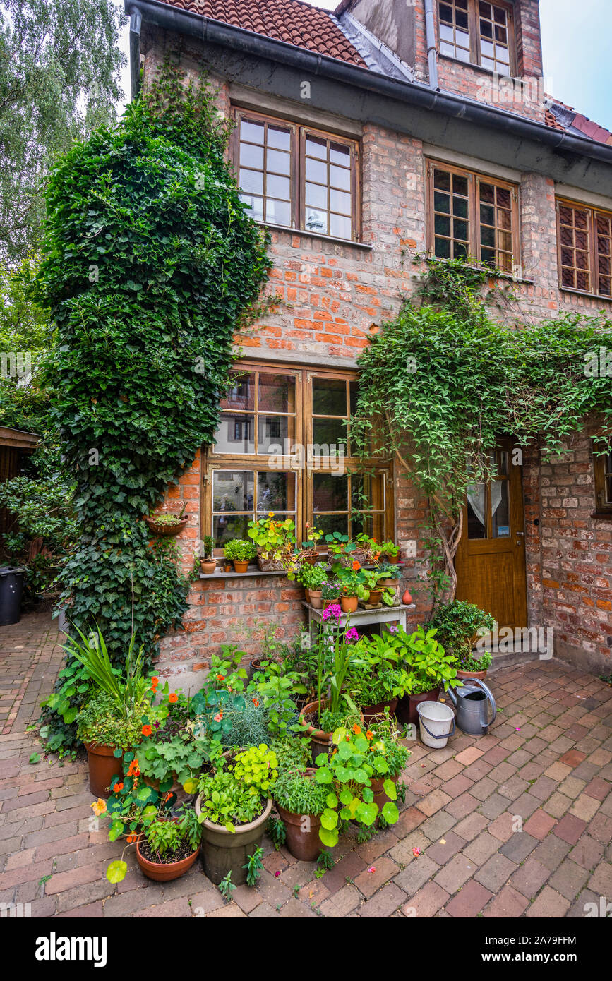 potted plant collection in a quaint backyard of the Marien quarters of Lübeck Old Town, Hanseatic City of Lübeck, Schleswig-Holstein, Germany Stock Photo