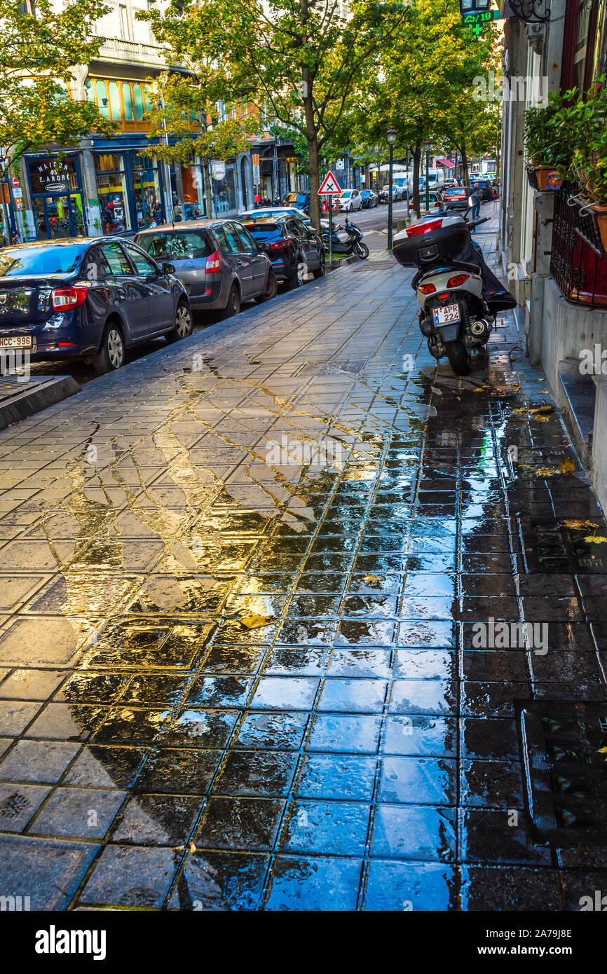 reflection-on-wet-pavement-cobbles-brussels-belgium-2A79J8E.jpg