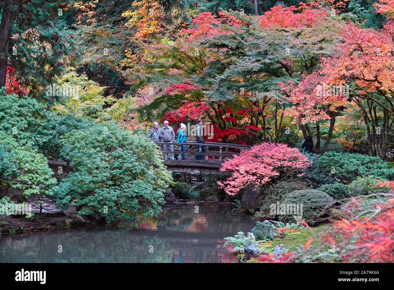 Maple trees and other exotic deciduous trees turning yellow and red in the world famous Japanese Gardens in Portland, Oregon, in Autumn. Stock Photo