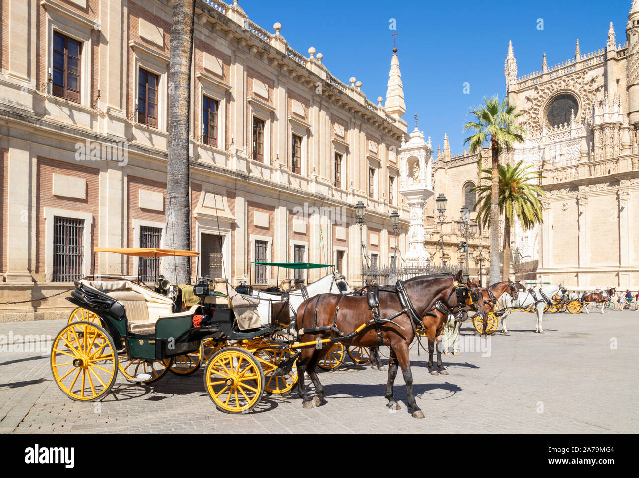 Seville carriage rides offered outside Seville cathedral and the General Archive of the Indies building Calle Miguel Mañara Seville Spain EU Europe Stock Photo