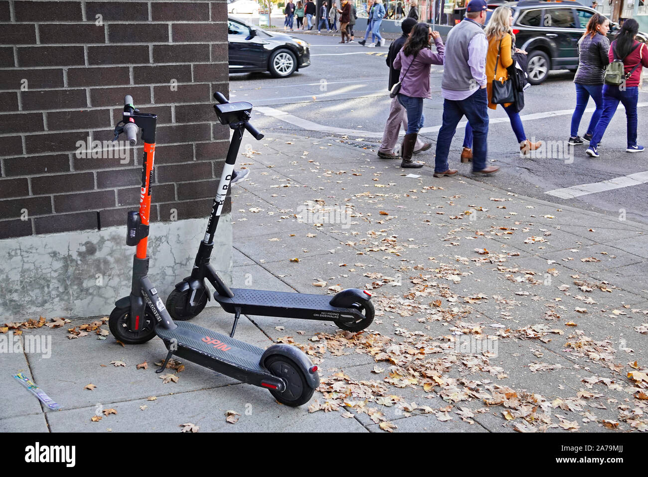 Shared bicycles and shared Electric scooters are in common usage in