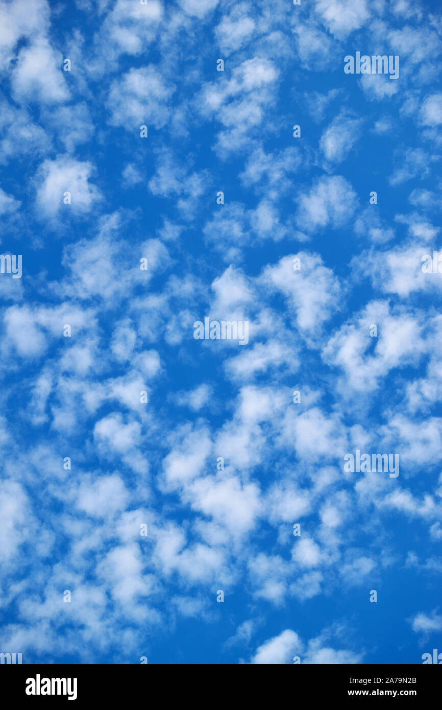 Blue sky with lots small white clouds - spotted texture Stock Photo