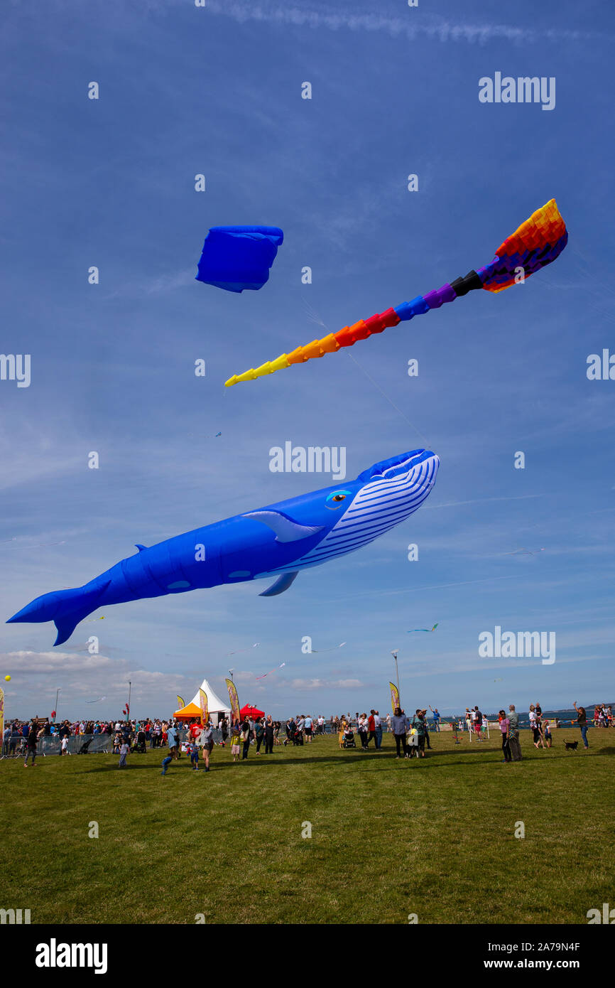 Flying kites hires stock photography and images Alamy