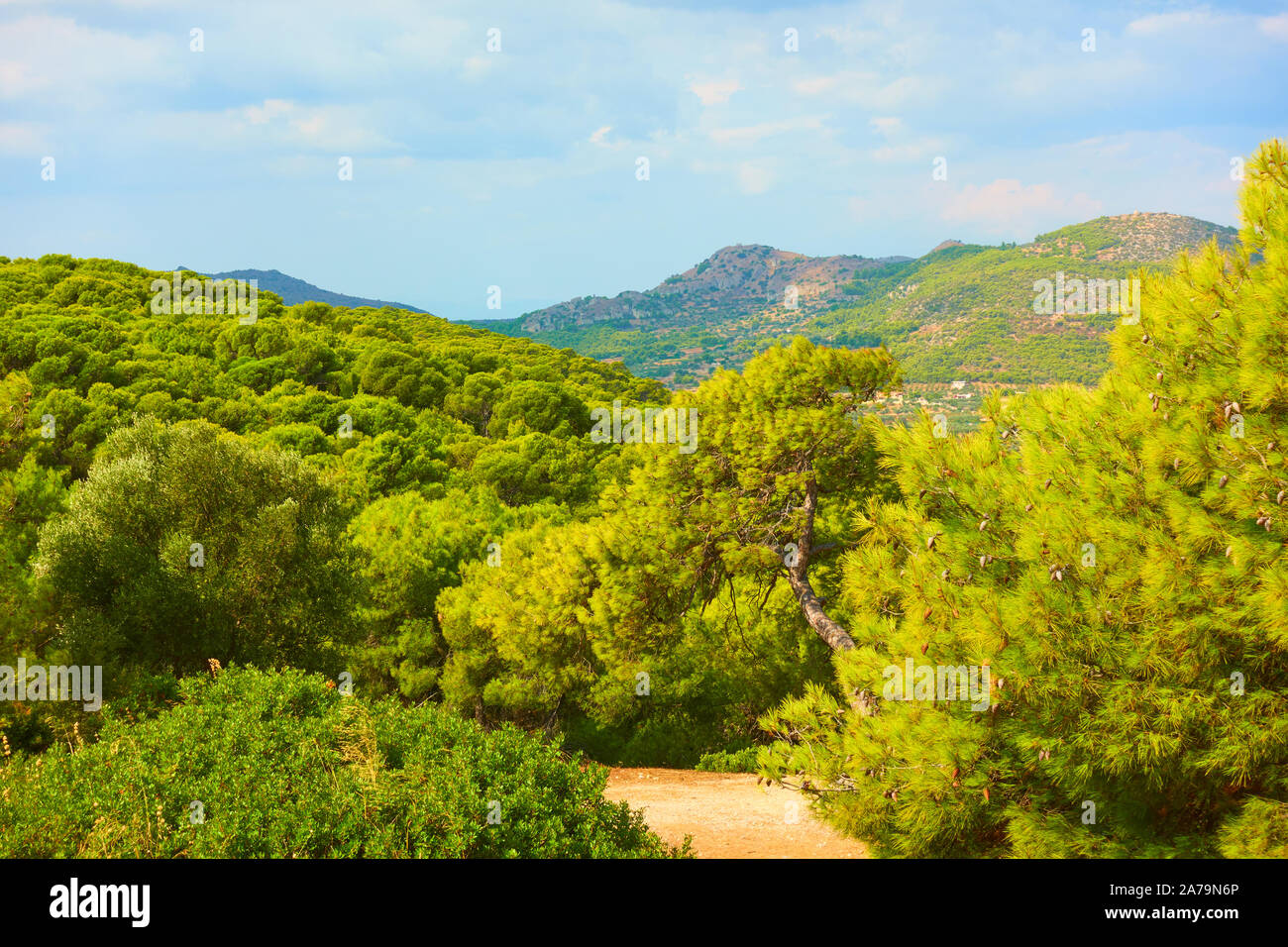 Landscape of Aegina Island with coniferous woods, Agia Marina, Saronic Islands, Greece Stock Photo