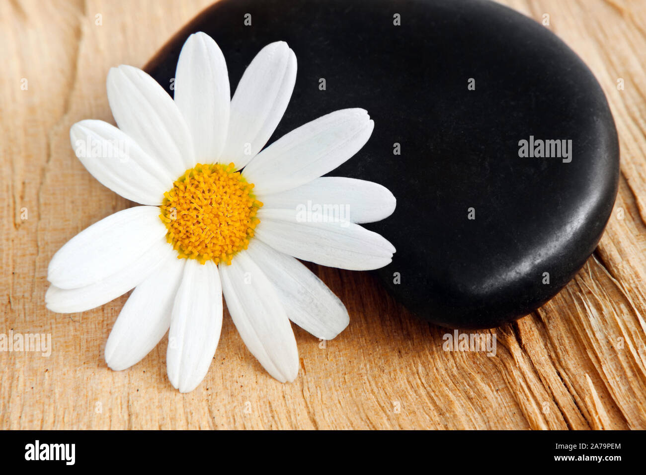 Wellness - stone and flowers Stock Photo