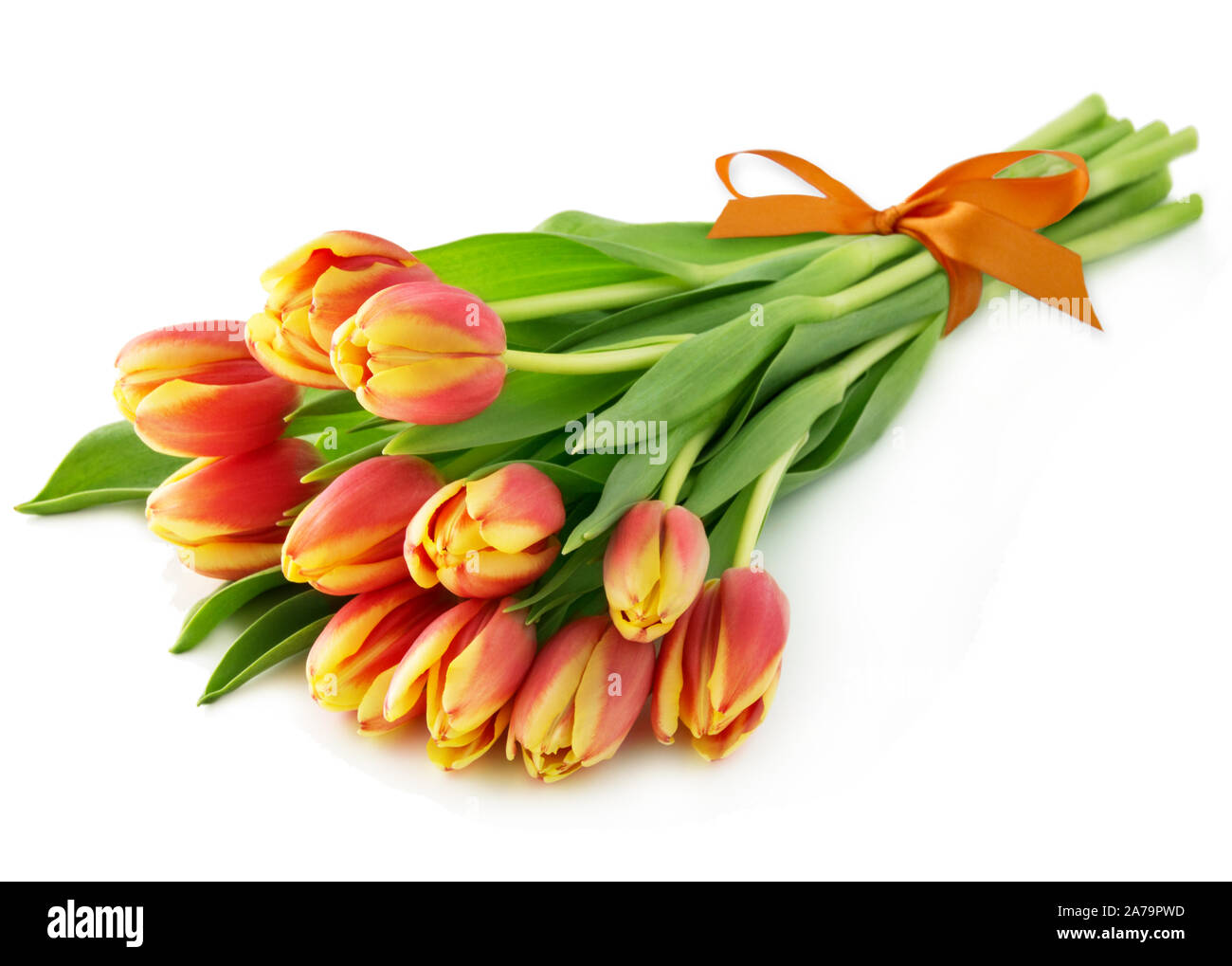 Tulips against white background Stock Photo