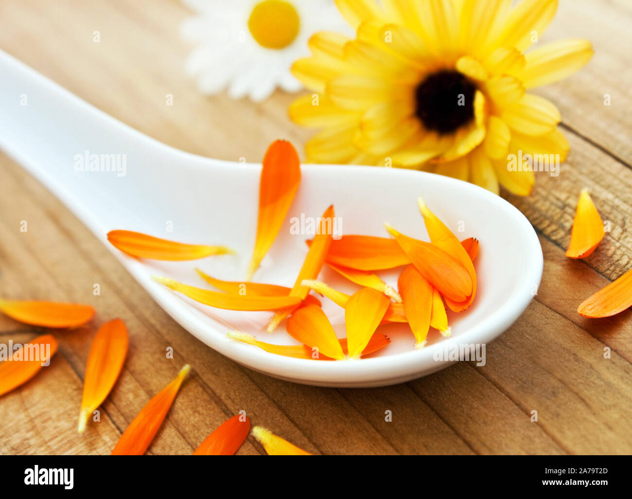 Healing herbs on a spoon Stock Photo - Alamy