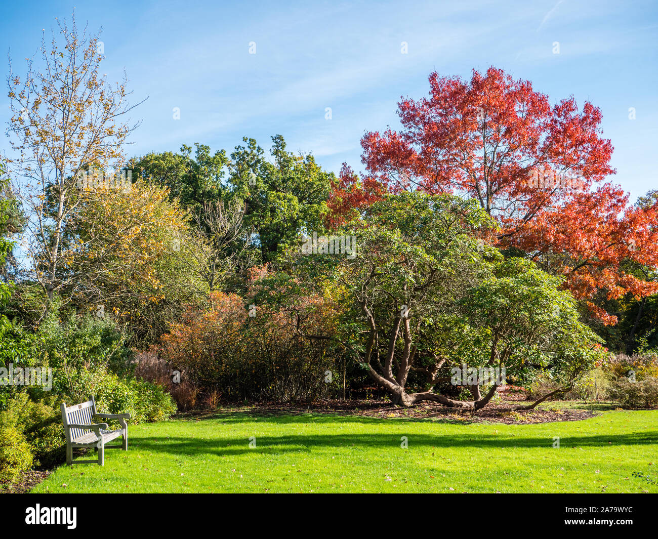 Hidden gardens hires stock photography and images Alamy
