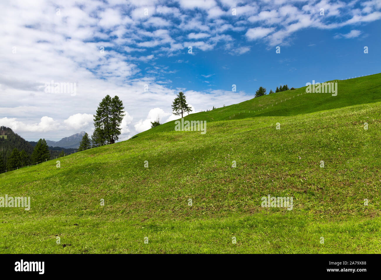 Italy / South Tyrol / Alto Adige: steep green alp and a blue sky on the way from wengen to fanes / sennes alp Stock Photo
