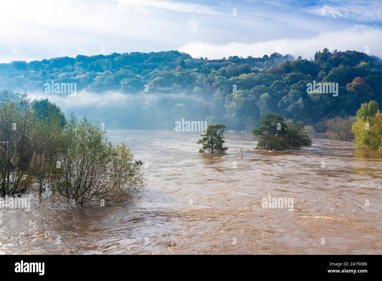 The muddy, silty waters of the River Wye in flood on 28.10.2019 at Kerne Bridge, Herefordshire UK - The flooding was caused by heavy rain in Wales. Stock Photo