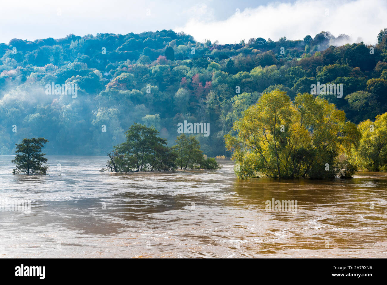 The muddy, silty waters of the River Wye in flood on 28.10.2019 at Kerne Bridge, Herefordshire UK - The flooding was caused by heavy rain in Wales. Stock Photo