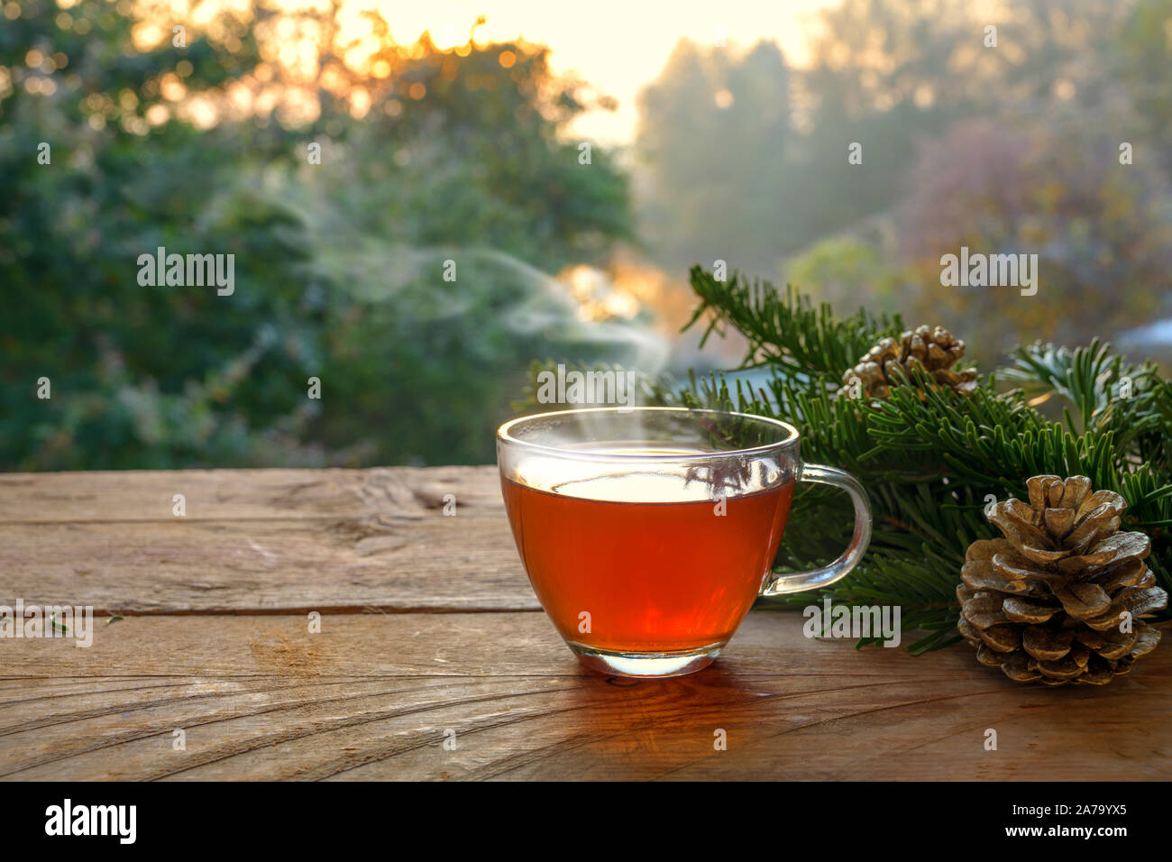 Hot tea in a glass cup on a rustic wooden table outdoors in the garden on a beautiful autumn day, health concept against cold and flu, copy space, sel Stock Photo