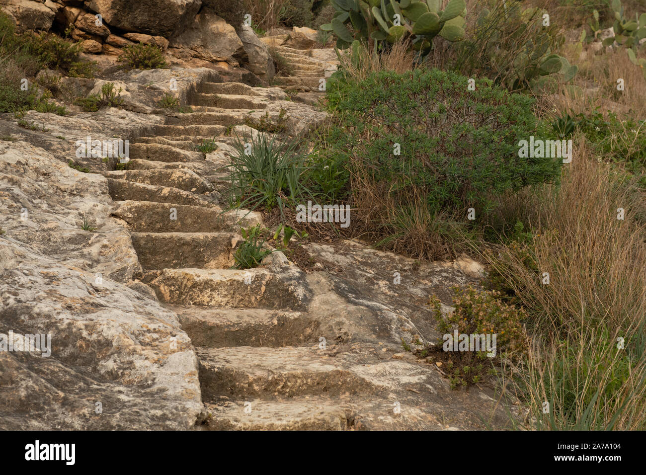 Steep steps carved into rockface, Bonchurch, Isle of Wight, UK Stock Photo  - Alamy