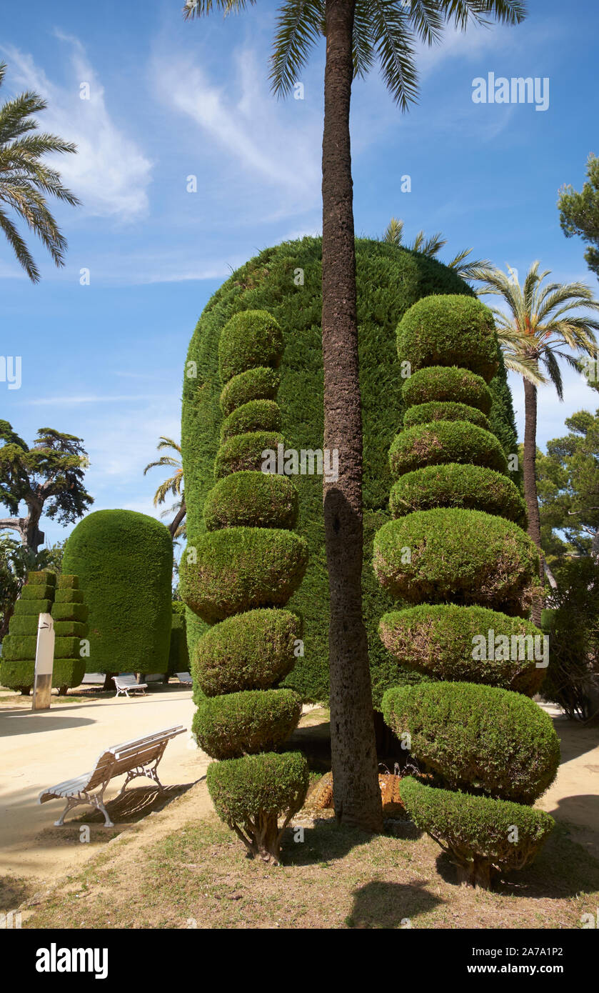 An example of topiary in the Parque Genoves botanical garden, Cadiz