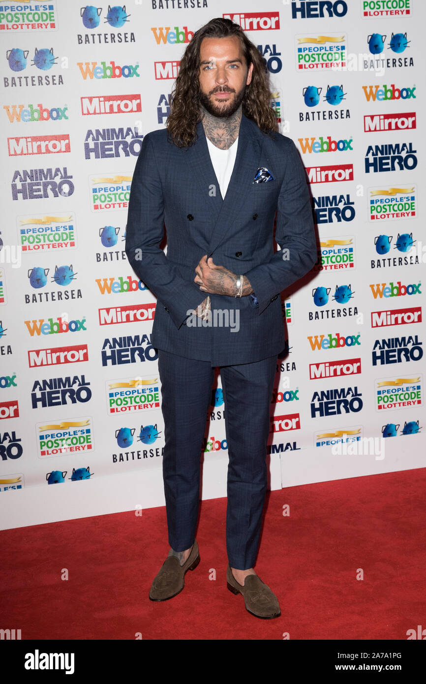 Red carpet arrivals for The Mirror Animal Hero Awards 2019, in partnership with People's Postcode Lottery and Webbox at Grosvenor House Hotel Featuring: Pete Wicks Where: London, United Kingdom When: 30 Sep 2019 Credit: Phil Lewis/WENN.com Stock Photo