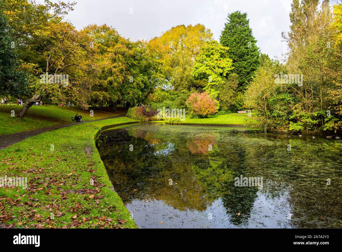 Sefton Park lake, Liverpool, England, UK Stock Photo