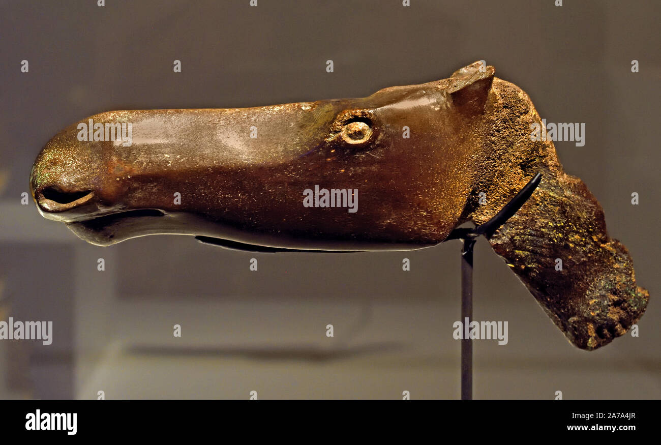 Shegir hires stock photography and images Alamy