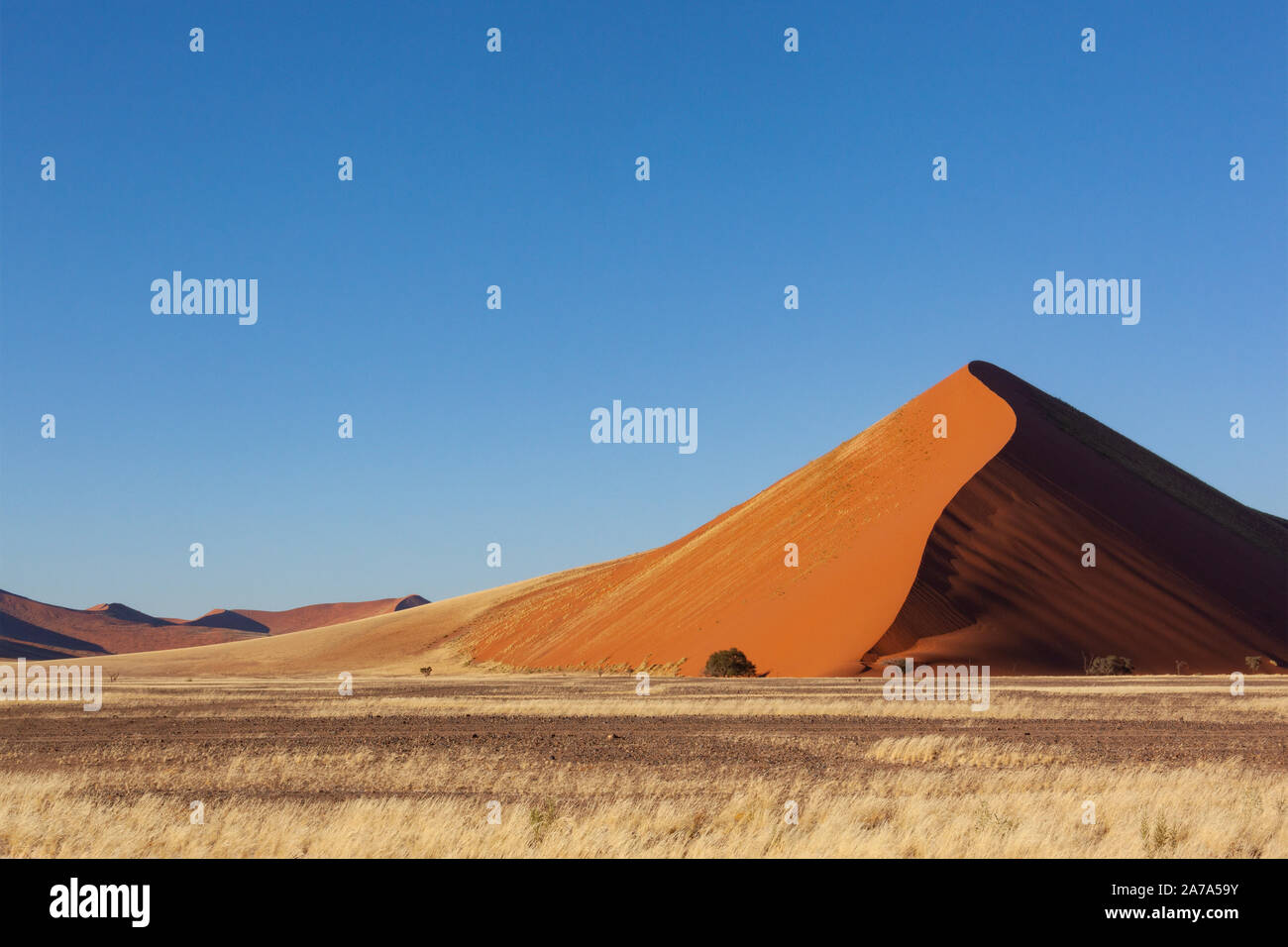 Sand Dunes in the Namib-Naukluft National Park near Sossusvlei in the ...