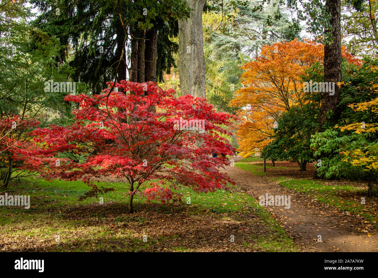 Nuneham courtenay oxfordshire hi-res stock photography and images - Alamy