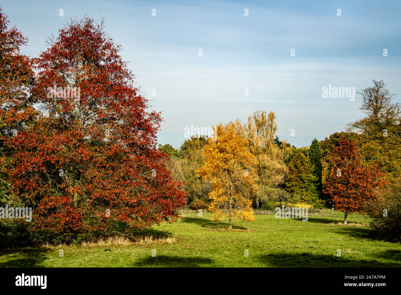 Harcourt Arboretum (University of Oxford) UK Stock Photo - Alamy