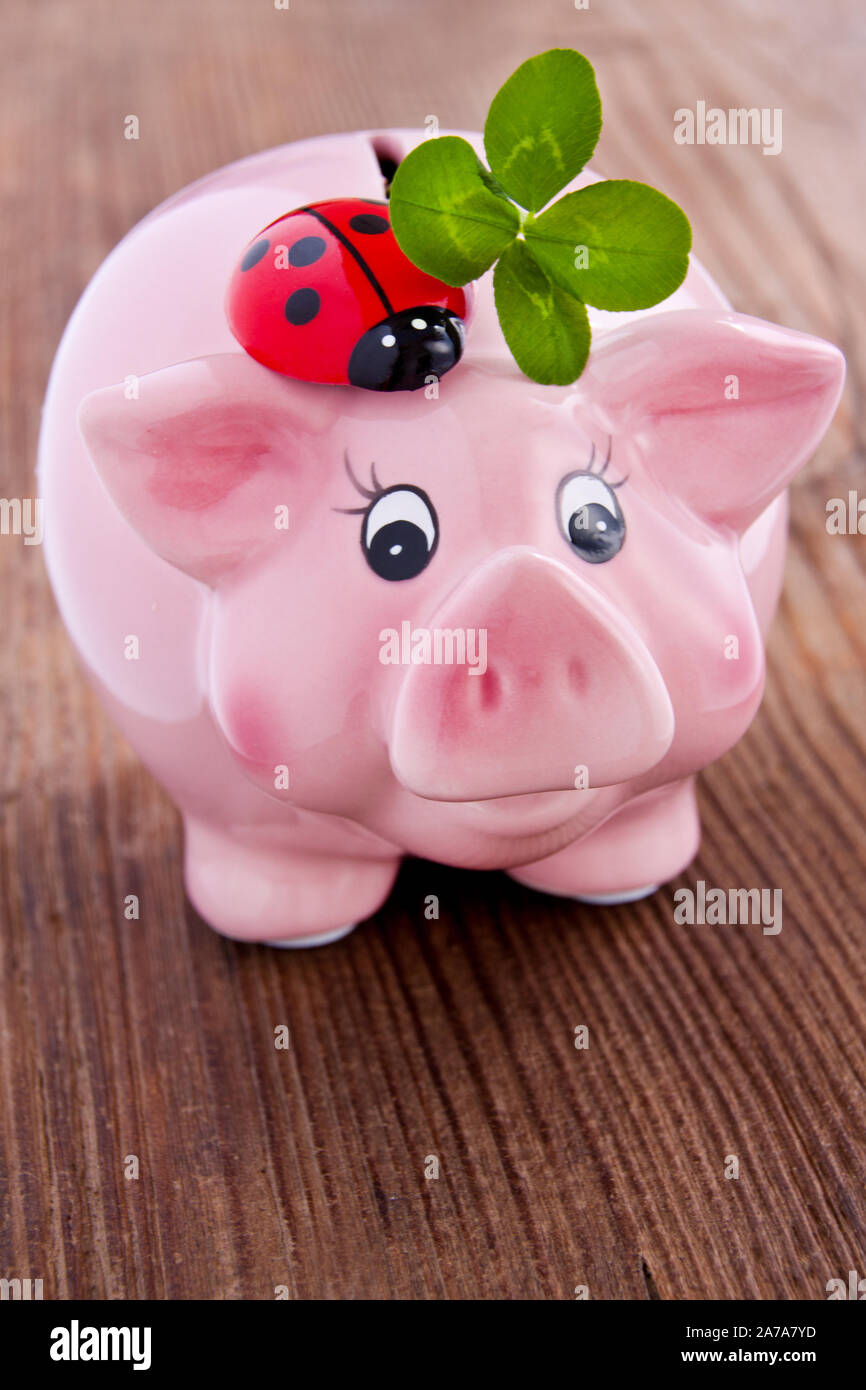 Pink lucky pig with lucky clover on a wooden backgurd Stock Photo Alamy