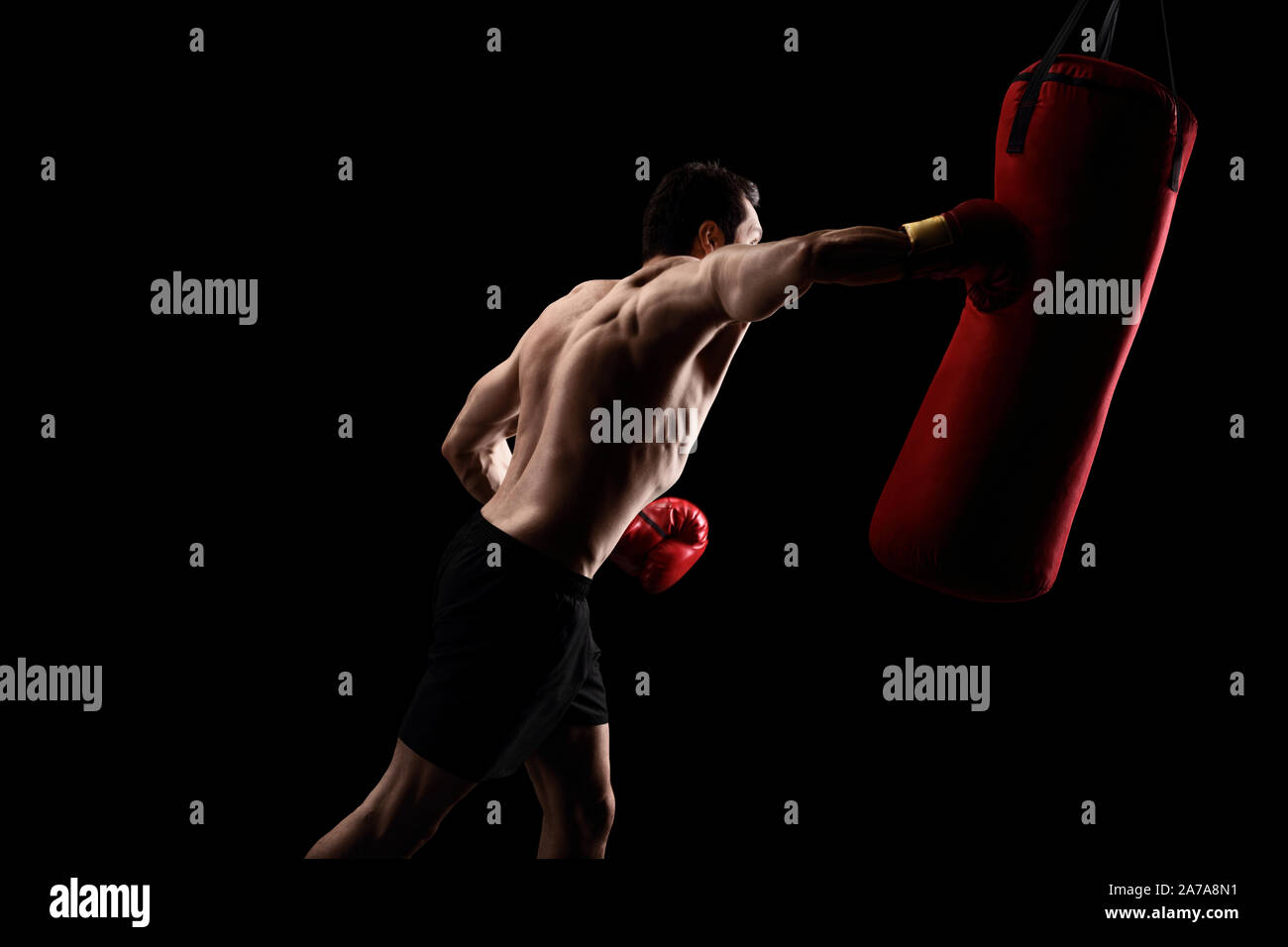 Strong boxer hitting a punching bag over a black background Stock Photo