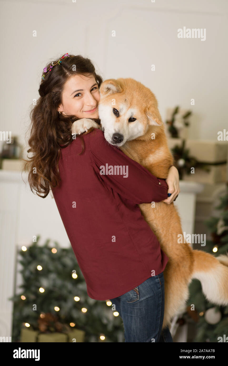 akita christmas