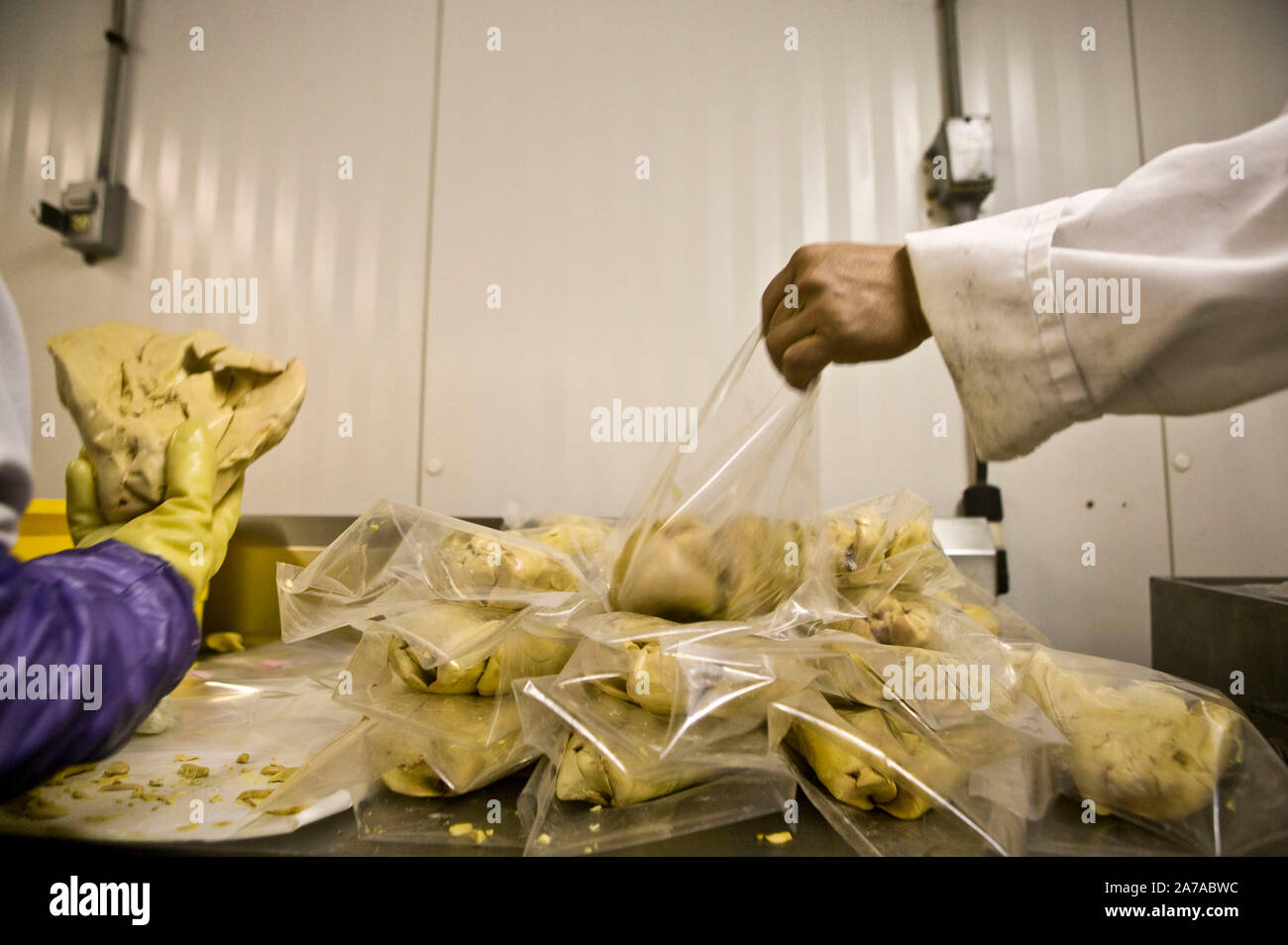 Workers package duck fatty livers at the Hudson Valley Foie Gras farm in Ferndale, USA, 16 March 2006. Stock Photo