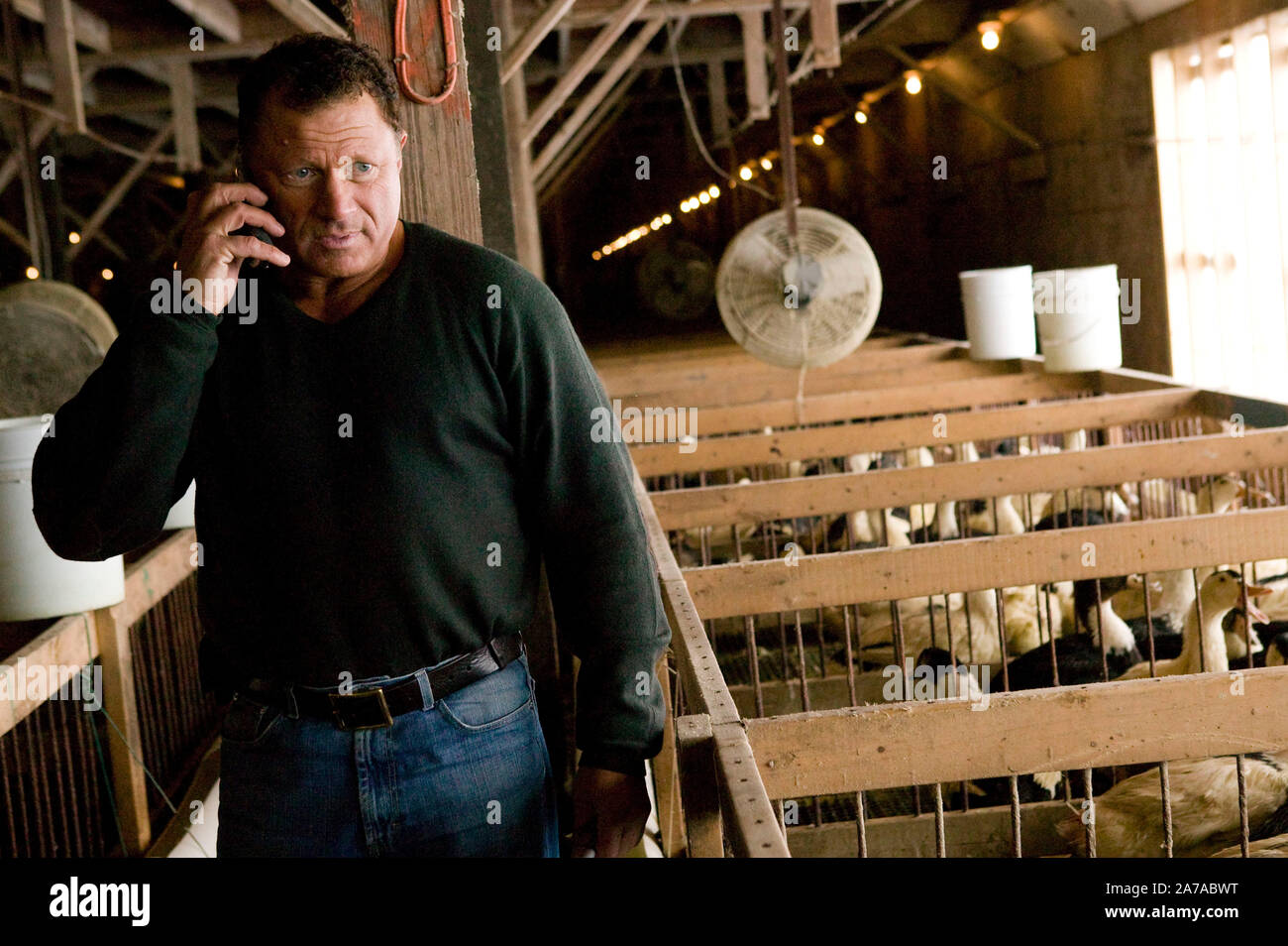 Izzy Yanay, founder and vice president of Hudson Valley Foie Gras, takes a phone call at the farm in Ferndale, USA, 16 March 2006. Stock Photo