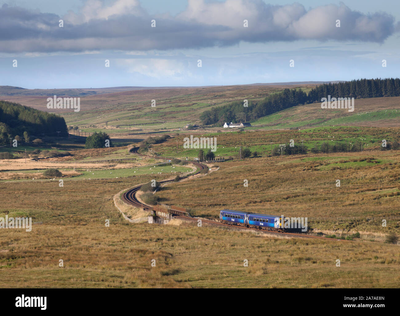 Abellio Scotrail class 156 sprinter train winding across the moors at  Drumahastie, Ayrshire, Scotland on the railway line to Stranraer Stock Photo