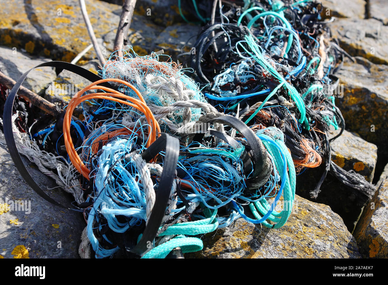 Toy fishing nets hi-res stock photography and images - Alamy