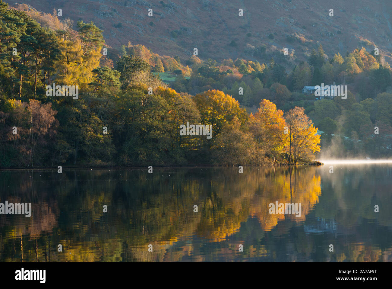 Trees lit by early morning sun on Lake Grasmere in late October Stock Photo