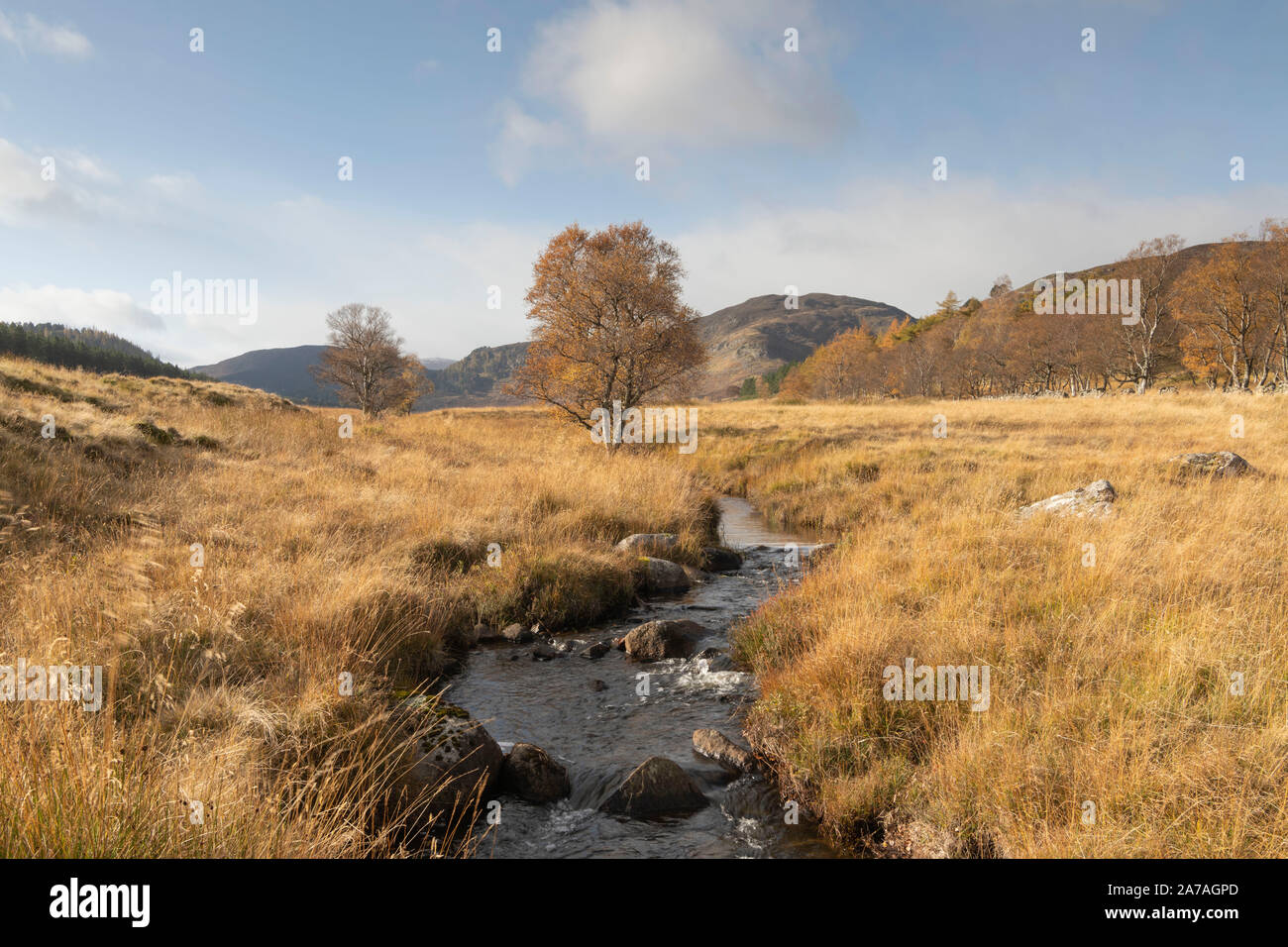 The Felagie Burn Cuts Through Open Moorland in this Autumnal View of the Scottish Highlands Towards Craig Leek and Morrone in the Far Distance Stock Photo