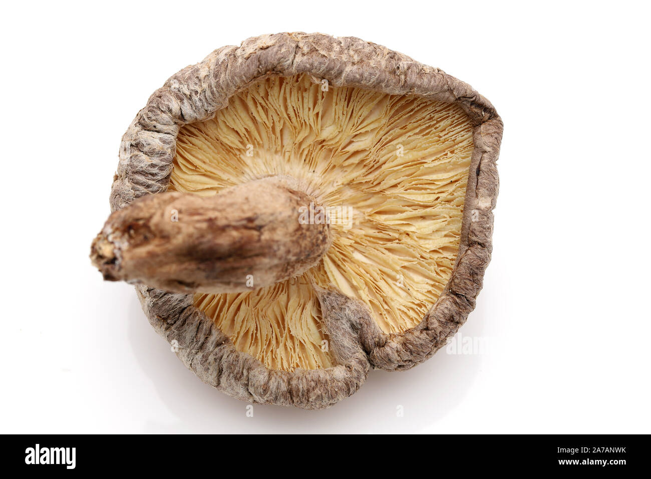 Japanese dried shiitake mushrooms on white background Stock Photo Alamy