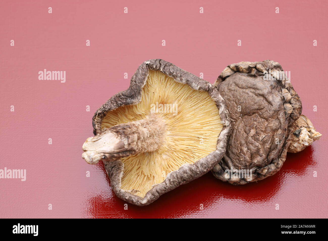 Japanese dried shiitake mushrooms Stock Photo Alamy