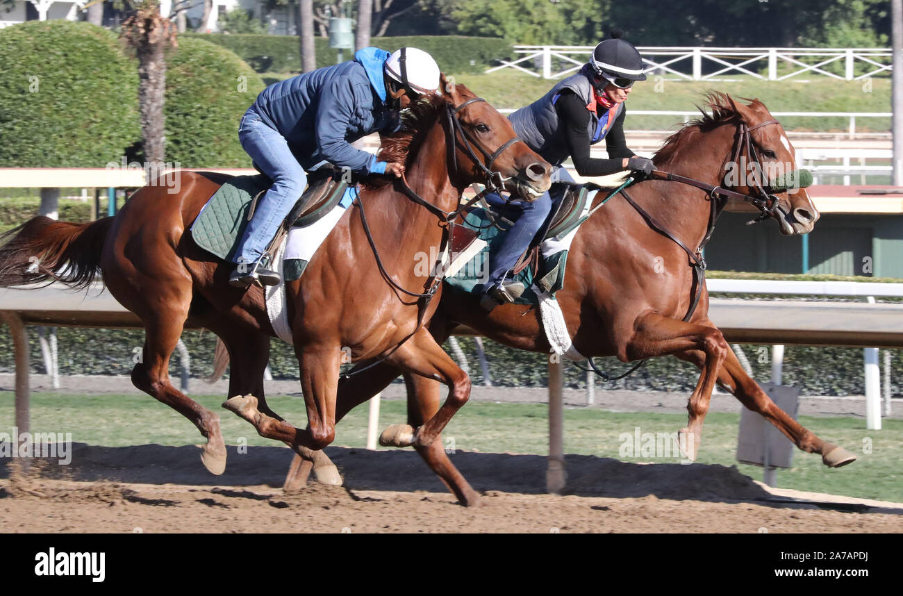 Ecco calzado santa anita race shop
