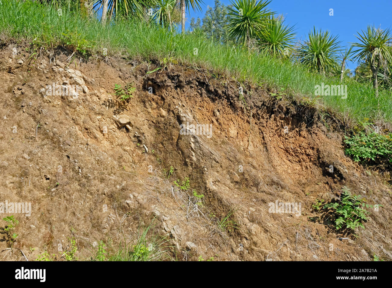 landslide caused by torrential rains. Slide soil erosion caused by