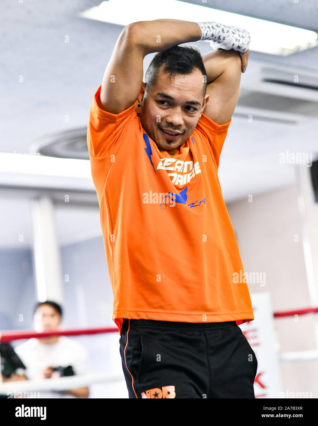 Tokyo, Japan. 31st Oct, 2019. Filipino boxer Nonito Donaire during a