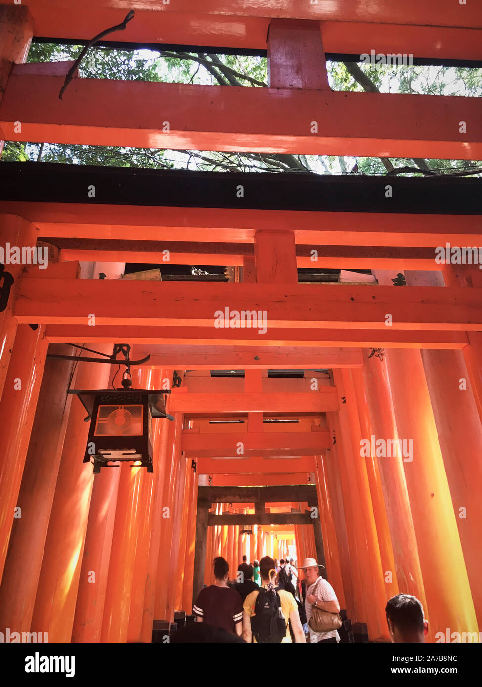 Located In Fushimi Ku Hi Res Stock Photography And Images Alamy