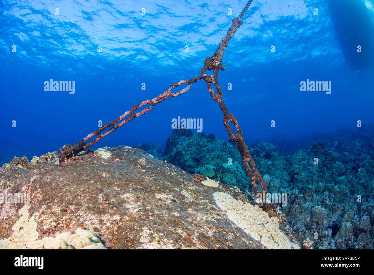 A vessel on a dual eye bolt day use mooring off the Kona Coast of the Big Island, Hawaii. Stock Photo