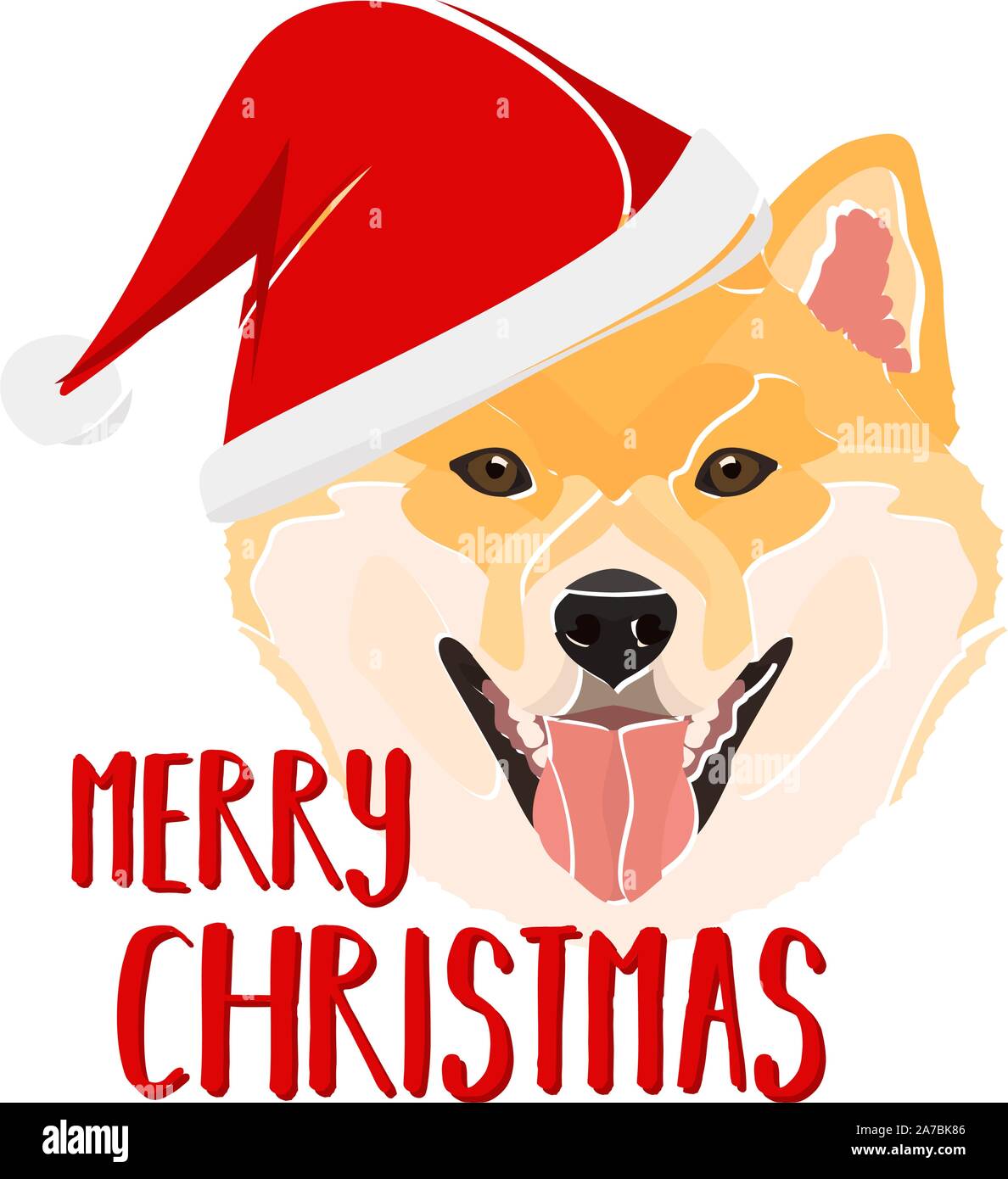 Shiba Inu with Santa Hat - This cheerful dog is properly contemplative ...
