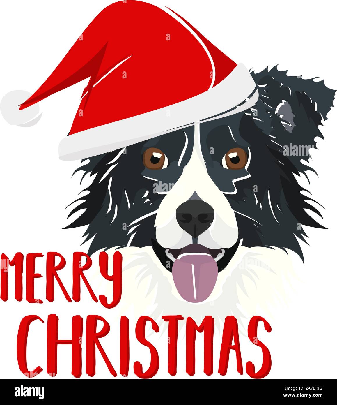 Border Collie with Santa Hat - This cheerful dog is properly ...