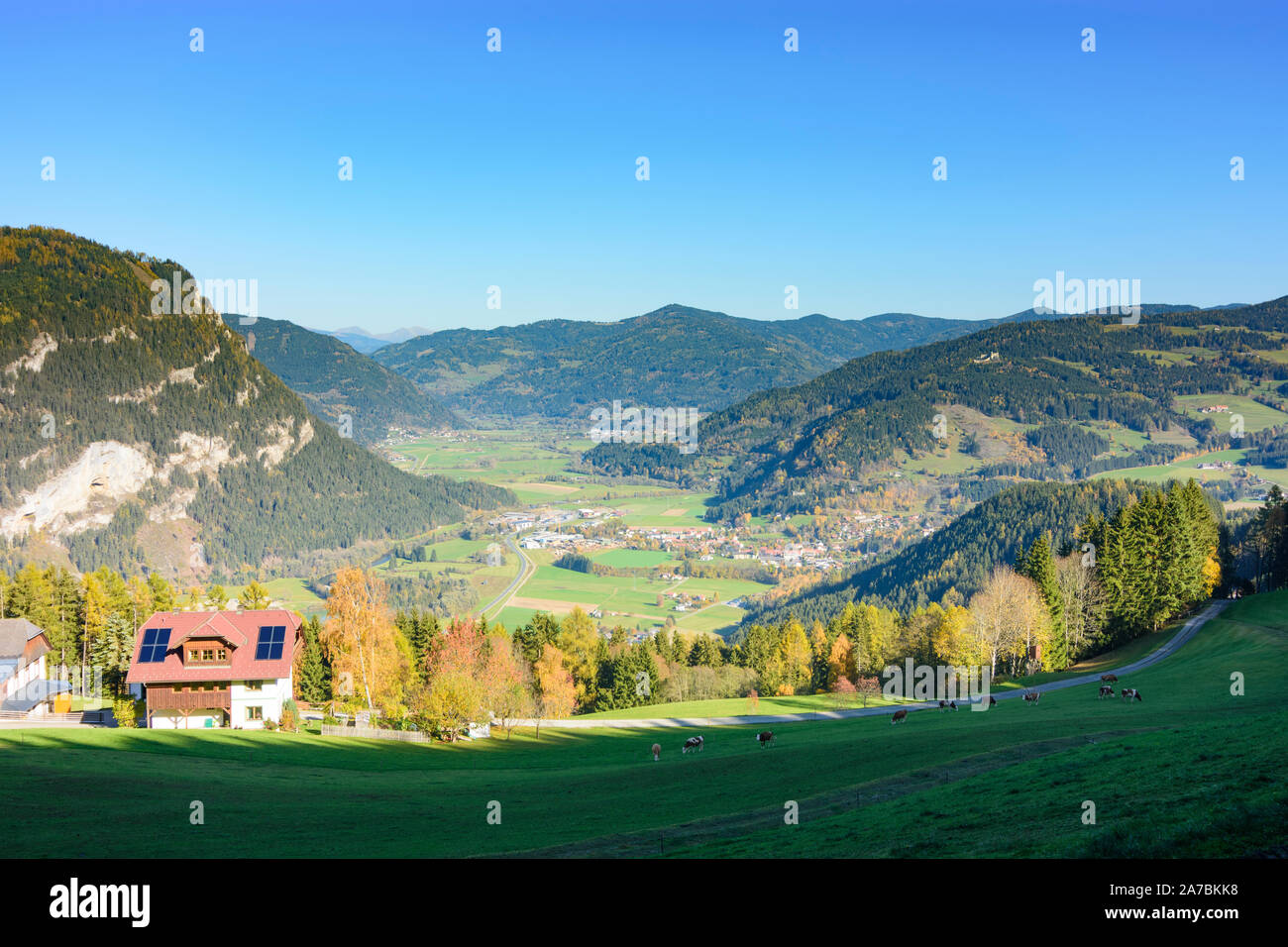 Teufenbach-Katsch: valley of river Mur, meadow, cows, nature park Zirbitzkogel-Grebenzen in Austria, Steiermark, Styria, Murau-Murtal Stock Photo