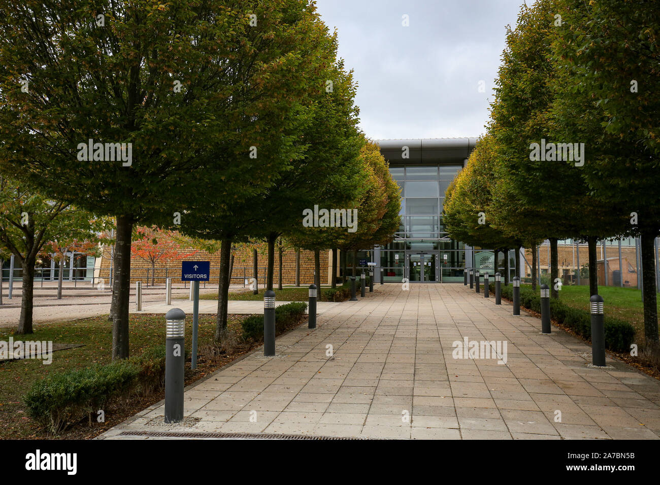 A tree lined avenue within Government Communications Headquarters, commonly known as GCHQ, in Cheltenham, the intelligence and security organisation responsible for providing signals intelligence and information assurance to the government and armed forces of the United Kingdom. Stock Photo