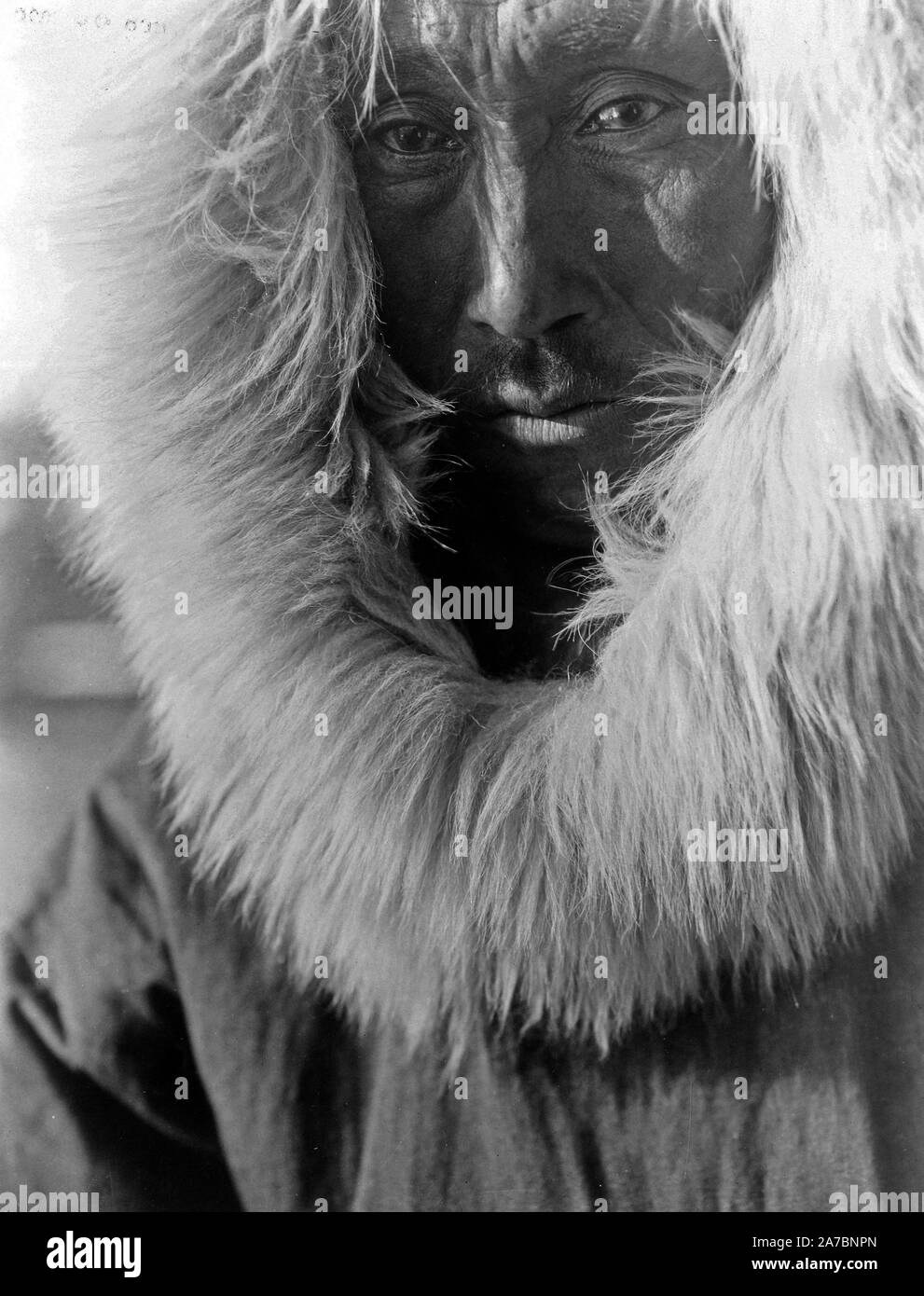American eskimo Black and White Stock Photos & Images - Alamy