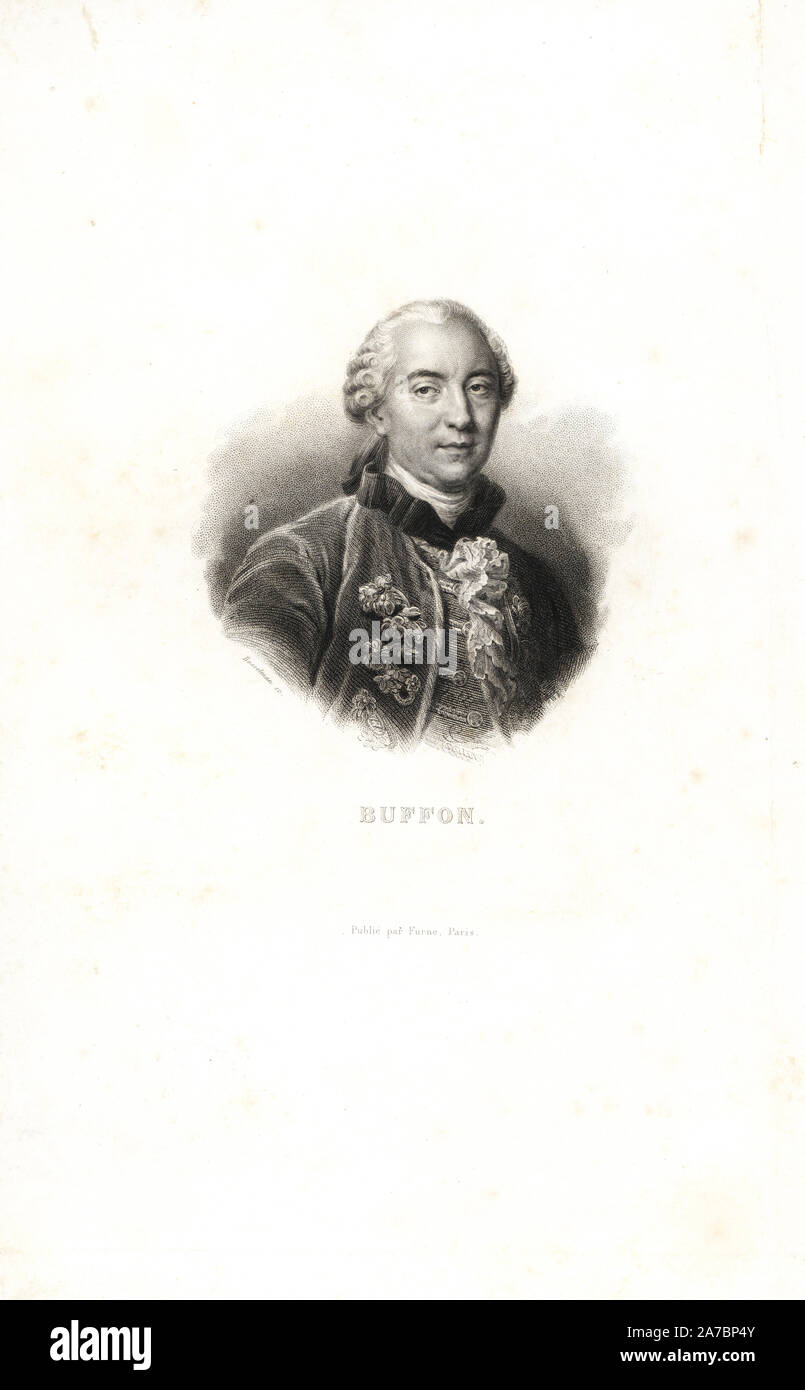 Portrait of Georges-Louis Leclerc, Comte de Buffon. Engraving on steel by Bosselman from Richard's 'New Edition of the Complete Works of Buffon,' Pourrat Freres, Paris, 1837. Stock Photo
