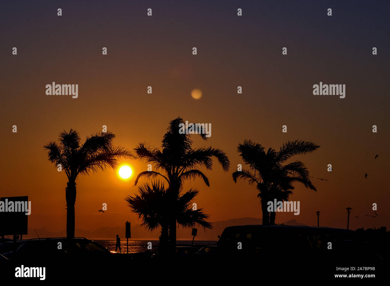 Sunset on the beach with palm trees Stock Photo - Alamy